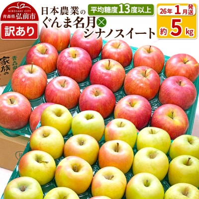 【26年1月出荷】 ぐんま名月×シナノスイート 約5kg 訳あり|24_nng-510501ah