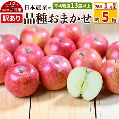 りんご 【26年1月出荷】 品種おまかせ 約5kg 訳あり|24_nng-990501ah