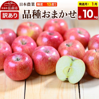 りんご【27年1月発送】品種おまかせ【訳あり】約10kg|24_nng-991001ah