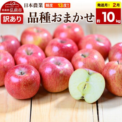 りんご【27年2月発送】品種おまかせ【訳あり】約10kg|24_nng-991001ai