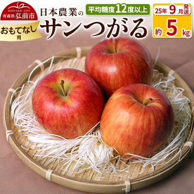 りんご 【9月出荷】 サンつがる 約5kg おもてなし用|24_nng-010501bd