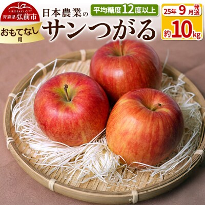 りんご 【9月出荷】 サンつがる 約10kg おもてなし用|24_nng-011001bd
