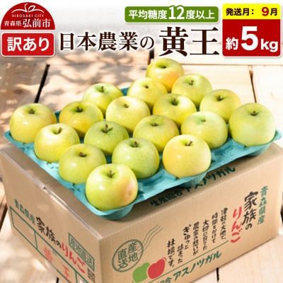 【26年9月クール便発送】りんご 黄王 約5kg【訳あり】|24_nng-030501ad
