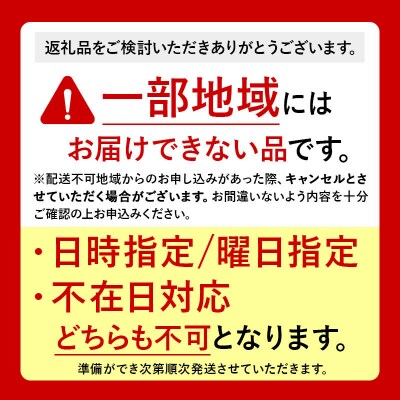 【26年9月クール便発送】りんご 黄王 約5kg【訳あり】|24_nng-030501ad