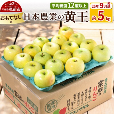 【26年9月クール便発送】りんご 黄王 約5kg【おもてなし用】|24_nng-030501bd