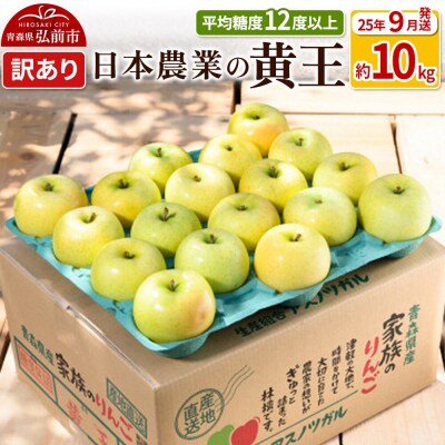 【26年9月クール便発送】りんご 黄王 約10kg【訳あり】|24_nng-031001ad