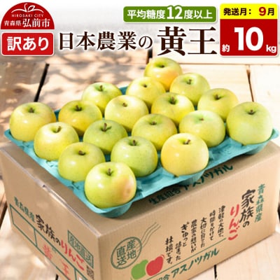 【26年9月クール便発送】りんご 黄王 約10kg【訳あり】|24_nng-031001ad