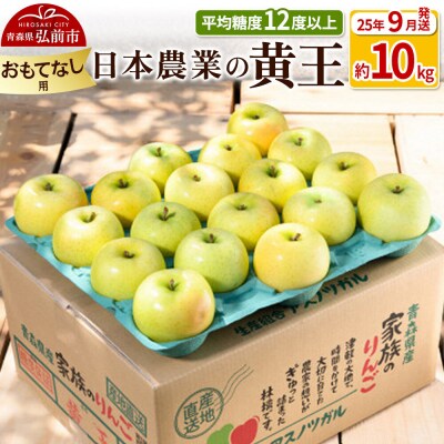 【26年9月クール便発送】りんご 黄王 約10kg【おもてなし用】|24_nng-031001bd