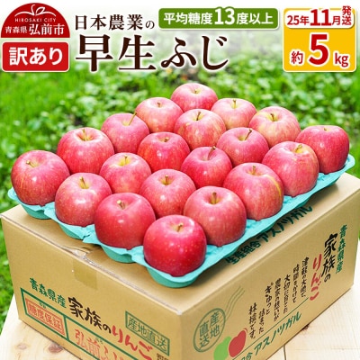 りんご 【11月出荷】 早生ふじ 約5kg 訳あり|24_nng-040501af
