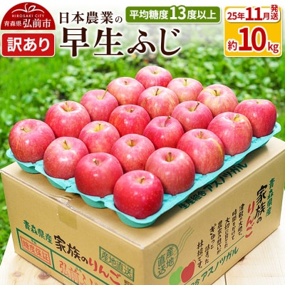 りんご 【11月出荷】 早生ふじ 約10kg 訳あり|24_nng-041001af