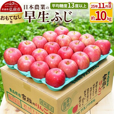 りんご 【11月出荷】 早生ふじ 約10kg おもてなし用|24_nng-041001bf