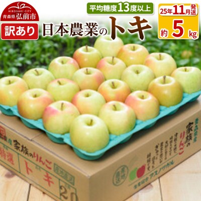 りんご 【11月出荷】 トキ 約5kg 訳あり|24_nng-060501af