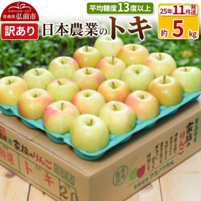 りんご 【11月出荷】 トキ 約5kg 訳あり|24_nng-060501af