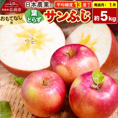 【27年1月発送】りんご 葉とらずサンふじ 約5kg【おもてなし用】|24_nng-130501bh