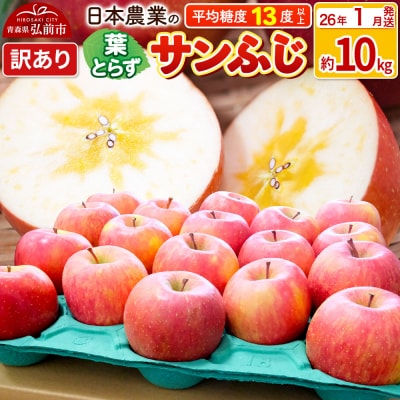 りんご 【26年1月出荷】 葉とらずサンふじ 約10kg 訳あり|24_nng-131001ah