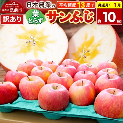 【27年1月発送】りんご 葉とらずサンふじ 約10kg【訳あり】|24_nng-131001ah