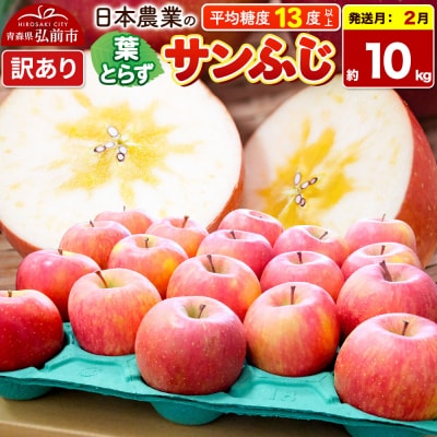 【27年2月発送】りんご 葉とらずサンふじ 約10kg【訳あり】|24_nng-131001ai
