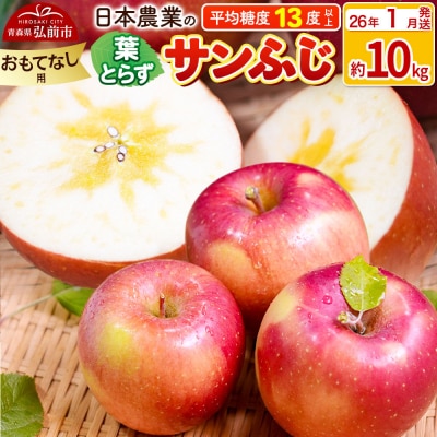 りんご【26年1月出荷】 葉とらずサンふじ 約10kg おもてなし用|24_nng-131001bh