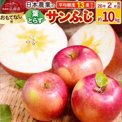 りんご【26年2月出荷】 葉とらずサンふじ 約10kg おもてなし用|24_nng-131001bi