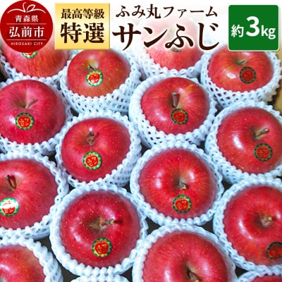 りんご ふみ丸ファーム 最高等級「特選」 サンふじ 約3kg|24_fmf-020301