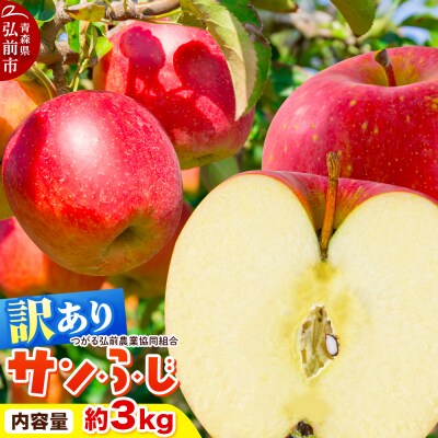りんご 家庭用【訳あり】サンふじ 約3kg(9～12玉程度)|24_thn-060301
