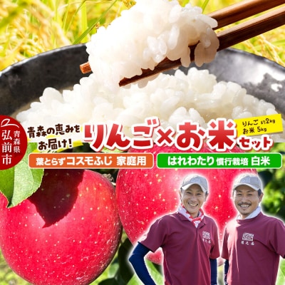 はれわたり【白米】5kg&葉とらず コスモふじ【家庭用】約2kg|24_gnz-290101