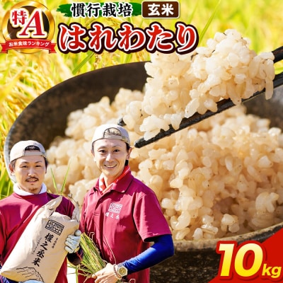 米 はれわたり 10kg[玄米]特A 慣行栽培 青森県産 令和7年産|24_gnz-171001