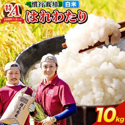 米 はれわたり 10kg[白米]特A 慣行栽培 青森県産 令和7年産|24_gnz-181001