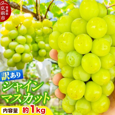 【26年10月～クール便発送】ぶどう【訳あり】シャインマスカット約1kg|24_ikf-010101