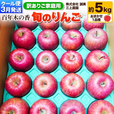 【訳あり】 三上農園 旬のりんご 約5kg 品種おまかせ1種 3月発送|24_mkn-020501b