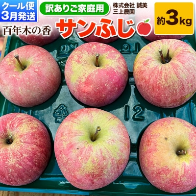 りんご 【訳あり】家庭用 三上農園 サンふじ 約3kg 3月発送|24_mkn-040301b