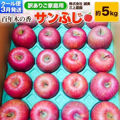 りんご 【訳あり】家庭用 三上農園 サンふじ 約5kg 3月発送|24_mkn-040501b