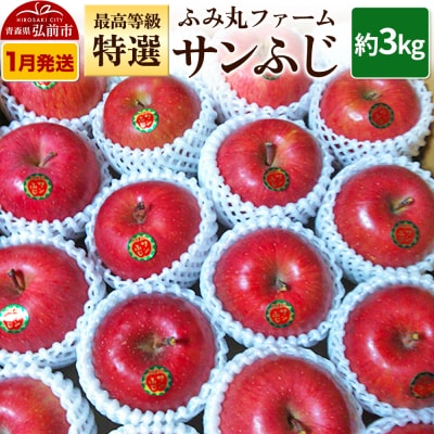 りんご ふみ丸ファーム 最高等級「特選」サンふじ 約3kg|24_fmf-020301a