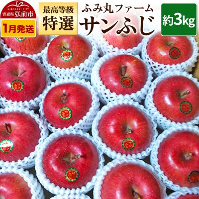 りんご ふみ丸ファーム 最高等級「特選」サンふじ 約3kg|24_fmf-020301a