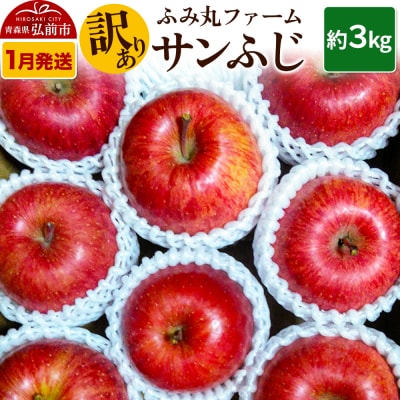 りんご ふみ丸ファーム【訳あり】サンふじ 3kg|24_fmf-040301a