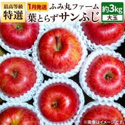 りんご 最高等級「特選」大玉 葉とらず サンふじ 約3kg|24_fmf-050301a
