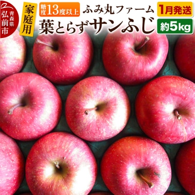 りんご【家庭用】葉とらず サンふじ 約5kg 糖度13度以上|24_fmf-060501a