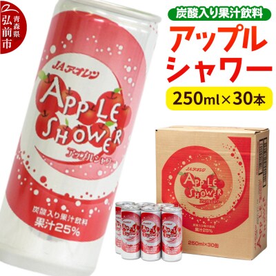 JAアオレン【アップルシャワー】250ml×30本 果汁25%|24_kmk-083001