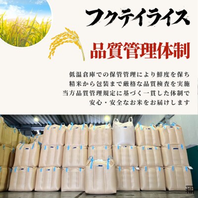 《定期便4ヶ月》 米 はれわたり 精米 10kg 令和7年産 青森県産|24_tei-021004
