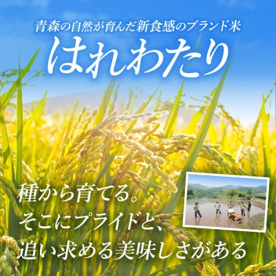 米 令和7年産 青森県産はれわたり(らく米・無洗米)3kg【白米】|24_tzn-020301