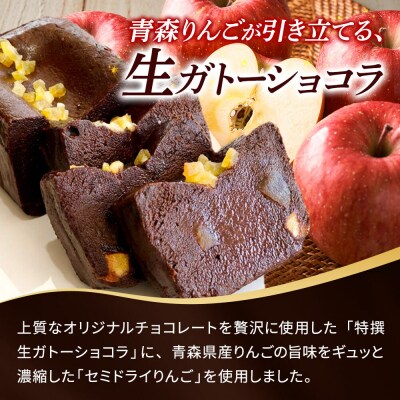 青森りんごの特選生ガトーショコラ(グルテンフリー)260g×3個|24_fzc-010301