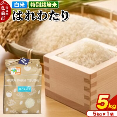 米【特別栽培米】はれわたり 白米 5kg 青森県弘前市産|24_mft-030501