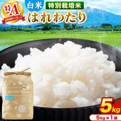 米【特別栽培米】はれわたり 白米 5kg(5kg×1袋)R7年産 特A|24_mft-030501