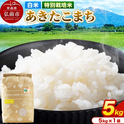 米【特別栽培米】あきたこまち 白米 5kg(5kg×1袋)令和7年産|24_mft-040501