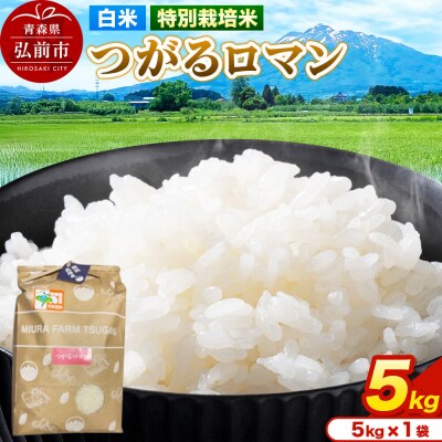 米【特別栽培米】つがるロマン 白米 5kg(5kg×1袋)令和7年産|24_mft-050501