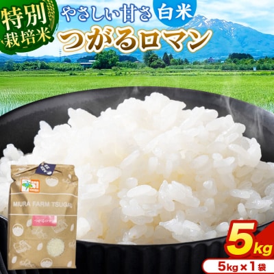 米【特別栽培米】つがるロマン 白米 5kg(5kg×1袋)令和7年産|24_mft-050501