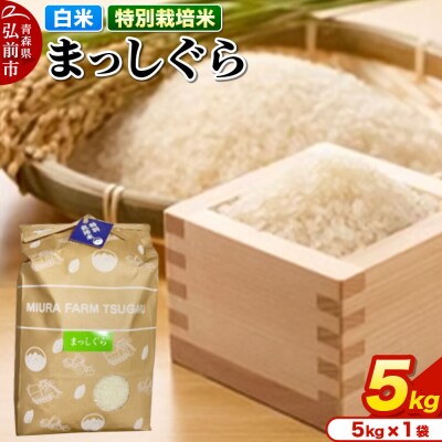 米【特別栽培米】まっしぐら 白米 5kg 青森県弘前市産|24_mft-070501