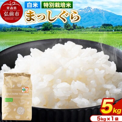 米【特別栽培米】まっしぐら 白米 5kg(5kg×1袋)令和7年産|24_mft-070501