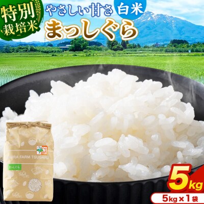 米【特別栽培米】まっしぐら 白米 5kg(5kg×1袋)令和7年産|24_mft-070501
