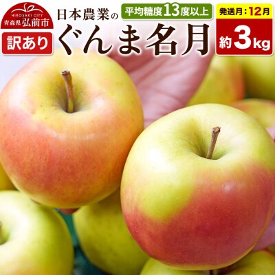 【26年12月発送】りんご ぐんま名月【訳あり】約3kg|24_nng-090301ag